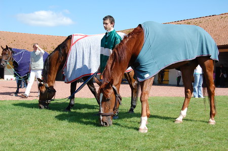 Hippodrome International de La Capelle - 02260 Hippodrome International de La Capelle - 02260