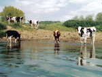 Canoë Évasion Location - 02580 Autreppes Canoë Évasion Location - 02580 Autreppes