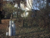 Image-04