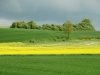 Deux_couleurs