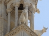 Vaches_Laon