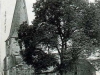 any_001
