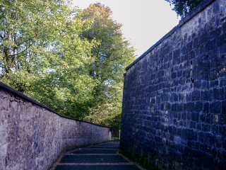 Avesnes-PICT0014
