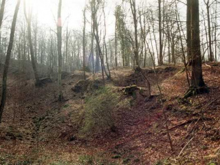 ©Terascia 1998