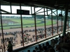 hippodrome-de-la-capelle_0016_terascia