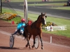 hippodrome-de-la-capelle_0019_terascia