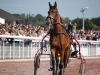 hippodrome-de-la-capelle_0020_terascia