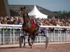 hippodrome-de-la-capelle_0021_terascia