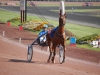 hippodrome-de-la-capelle_0022_terascia