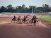 hippodrome-de-la-capelle_0023_terascia