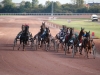 hippodrome-de-la-capelle_0024_terascia