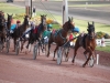 hippodrome-de-la-capelle_0025_terascia