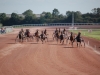 hippodrome-de-la-capelle_0029_terascia