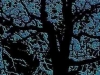 arbre2