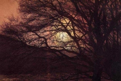 Paysages