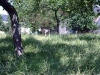 wimy_paysage_01
