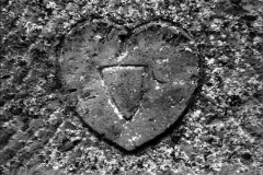 Photos Hugues Vilaire