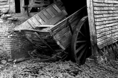 Photos Jean-Claude Laffitte