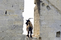 Photos Jos Van Den Broek