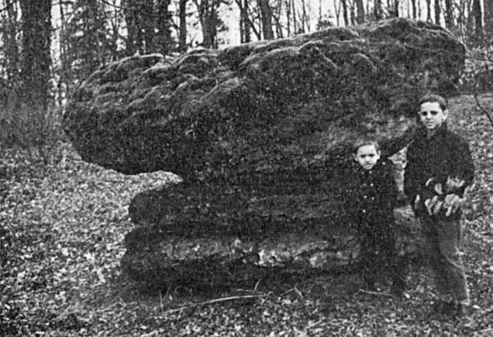 Pierre Croûte de Bellignies — dolmen déplacé en 1810, parc du château