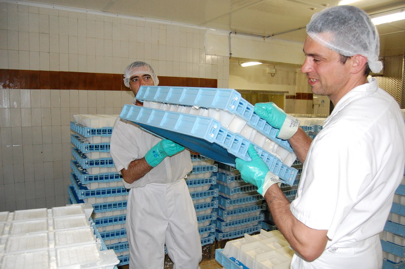 le moulage le moulage