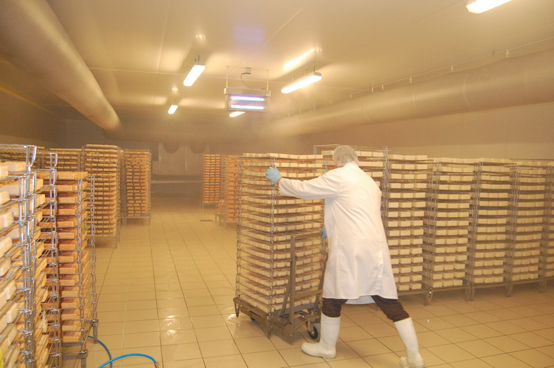 fabrication du Maroilles fabrication du Maroilles