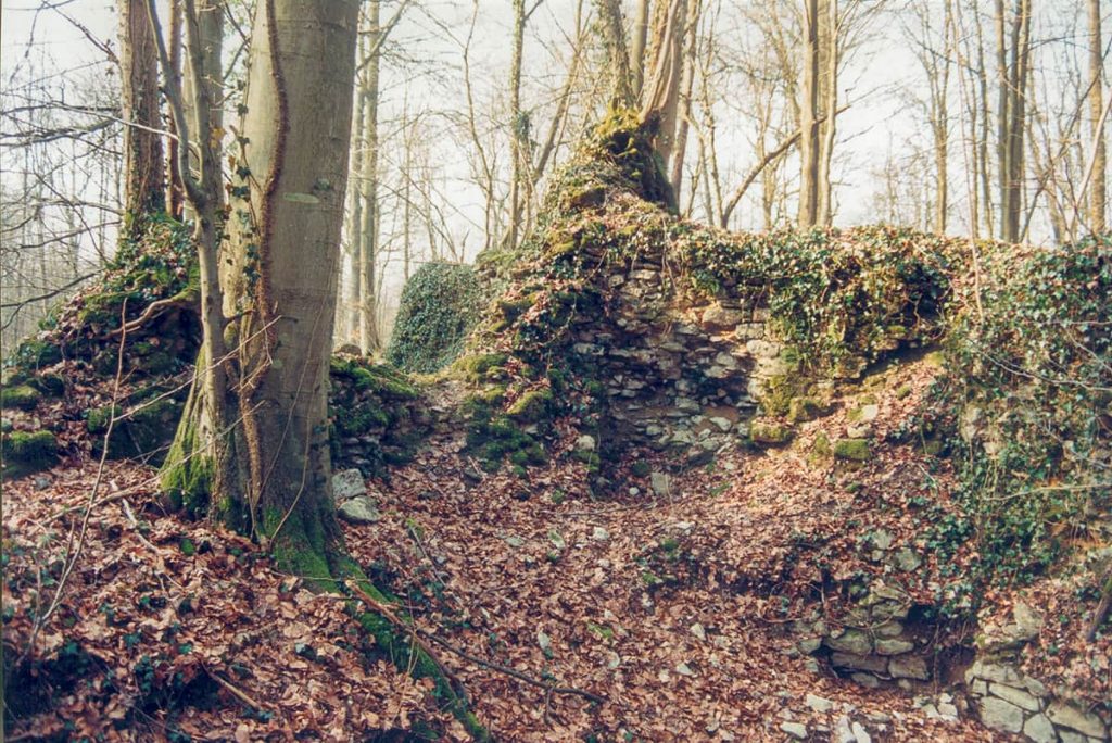Ruines du fort de Macquenoise